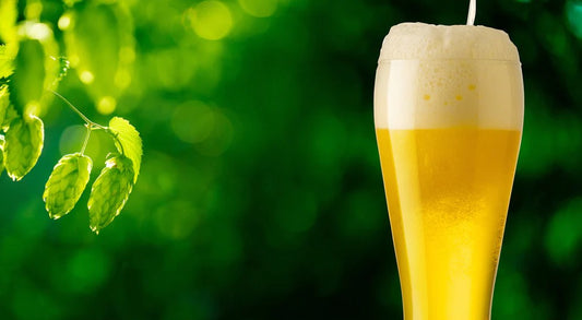長野でしか買えないビールとは?【買える場所】お土産で喜ばれる人気のビールおすすめ5選