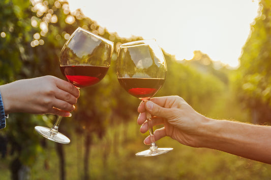 世界に認められた「塩尻ワイン」人気の秘密とおすすめ商品を紹介