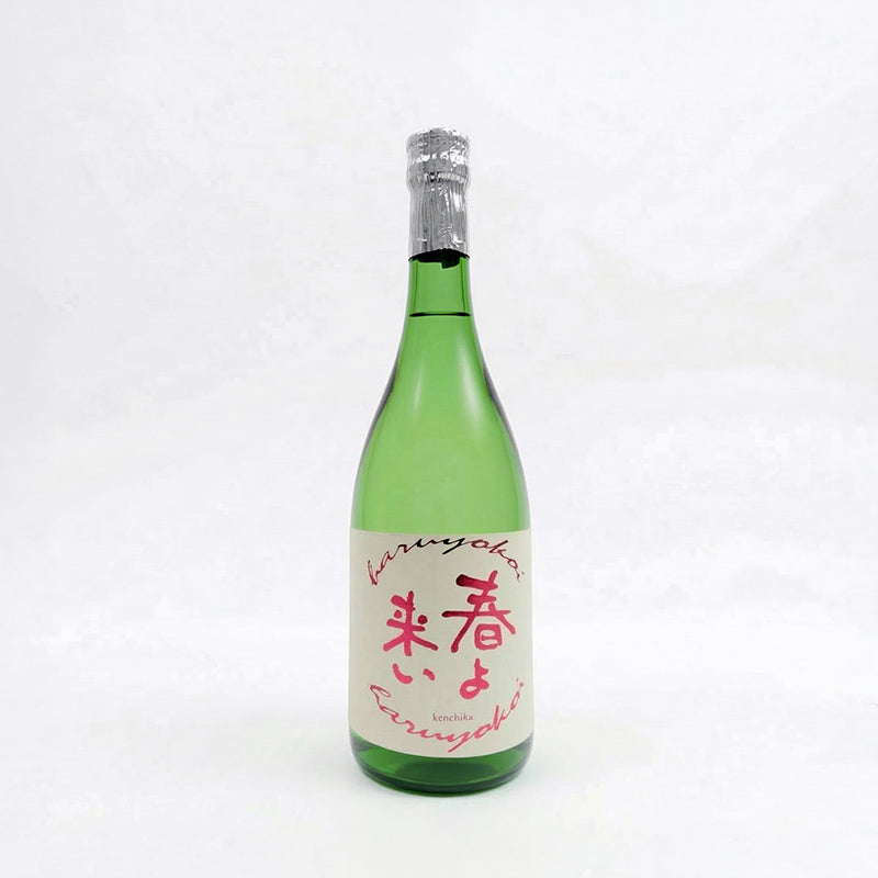 【送料無料】信州の春酒4種セット 大雪渓 神渡 渓流 寒竹
